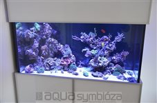 Morské akvárium 360L, rozmery 120x50x60cm